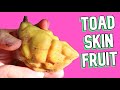 Toad Skin Fruit - This Weird Fruit Looks Like a Pastry! (Nam Nam Fruit)