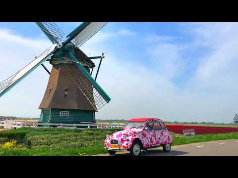 Ducktrail Eendenrally - Tulpenroute langs de tulpenvelden