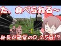 【Minecraft】食物連鎖の頂点に立ちたい#1【ゆっくり実況】