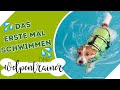 Das erste Mal Schwimmen! 💦 So gelingt es deinem Hund | Der Welpentrainer | sixx