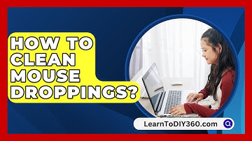 How To Clean Mouse Droppings? - LearnToDIY360.com