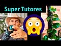 TUTORES ENSAMBLABLES PARA TUS PLANTAS | CON UN EXCELENTE MATERIAL DE RELLENO | TUTORES |