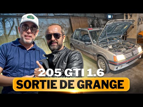 205 GTI: the forgotten garage treasure
