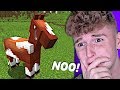 My Minecraft Horse DISAPPEARED?! (WTF)