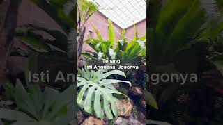 Download Lagu LAHAN SEMPIT BIKIN TAMAN NO WORRY MP3