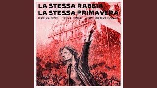 Manifiesto