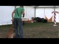 Steve Mann - Dog Training.mp4 Steve Mann - Dog Training.mp4