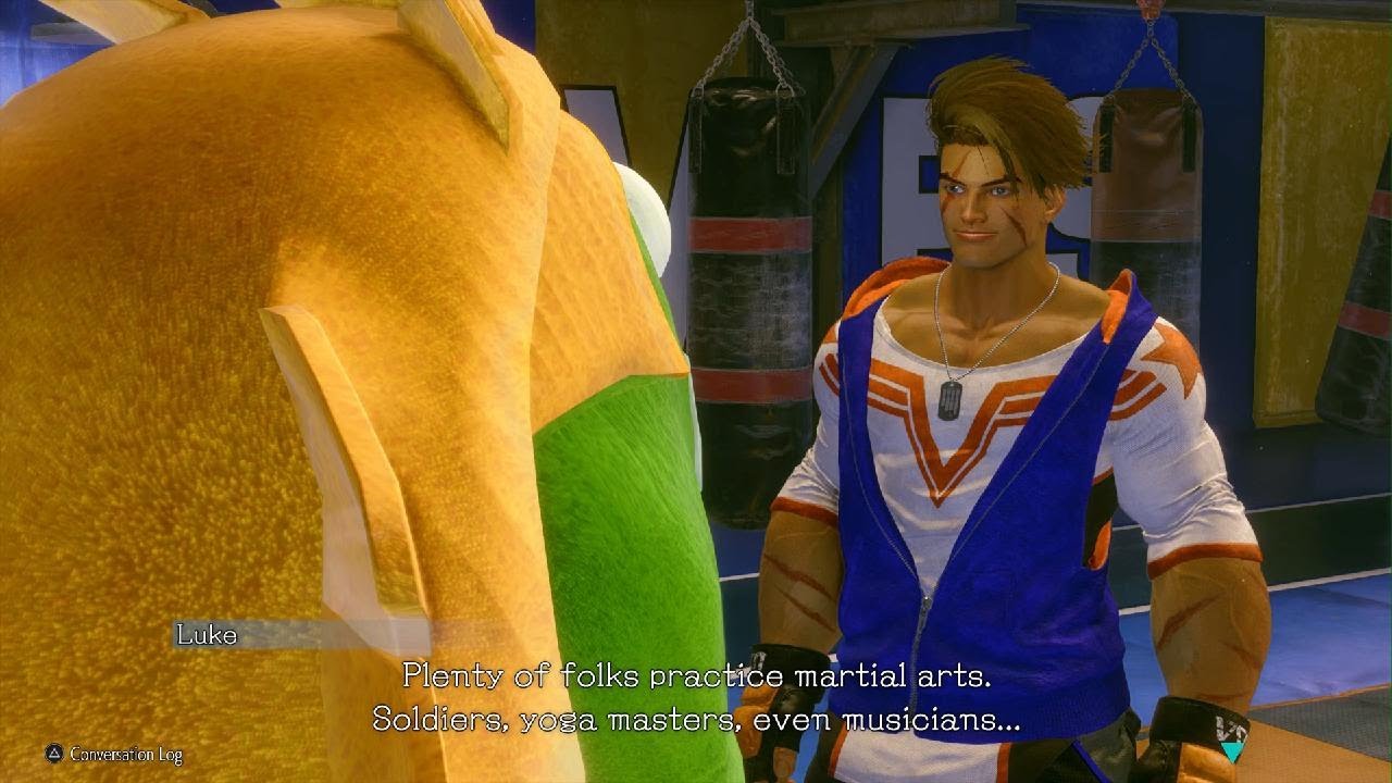 Street Fighter 6 A vet troubles