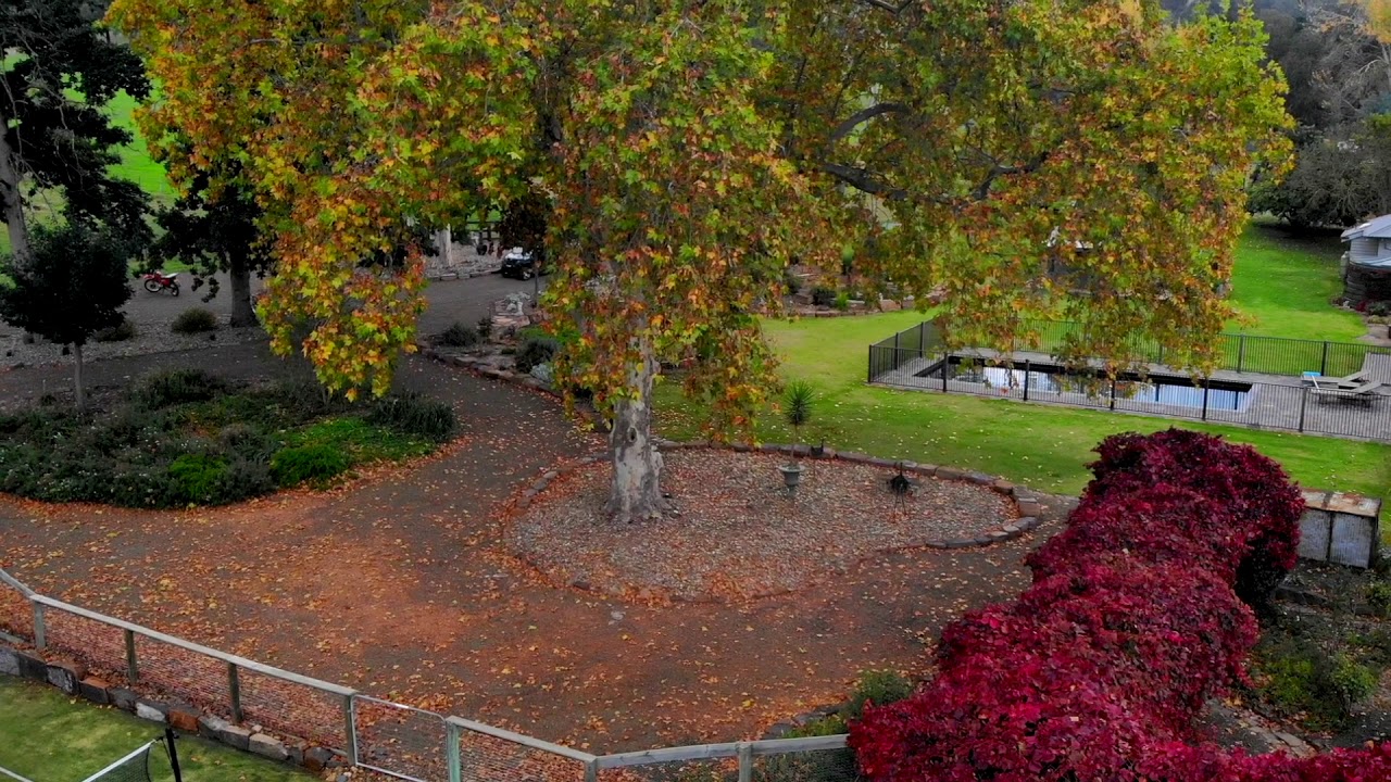 51 Fielding Lane, Piries YouTube