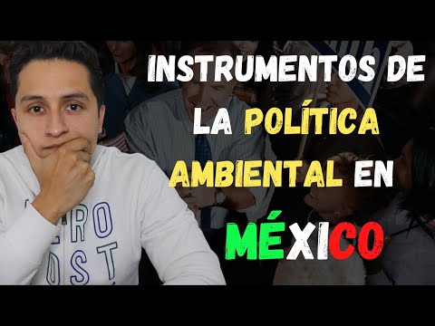 Video: ¿Sobre los instrumentos de política ambiental?