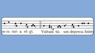 Vultum Tuum (Mass of a Virgin not a Martyr II, Introit)