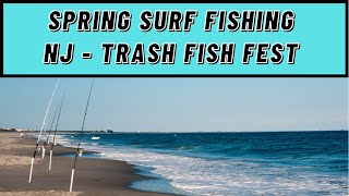 Spring Surf Fishing NJ - Trash Fish Fest