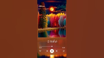 سورة النصر  #القرآن_الكريم