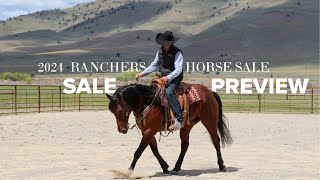2024 Sale Horse Preview