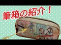 筆箱の紹介をするよー！(ゝω・)