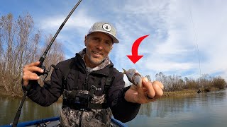 We Threw Dead Bait to Load the Boat! by Marsh Man Masson 8,324 views 3 months ago 20 minutes