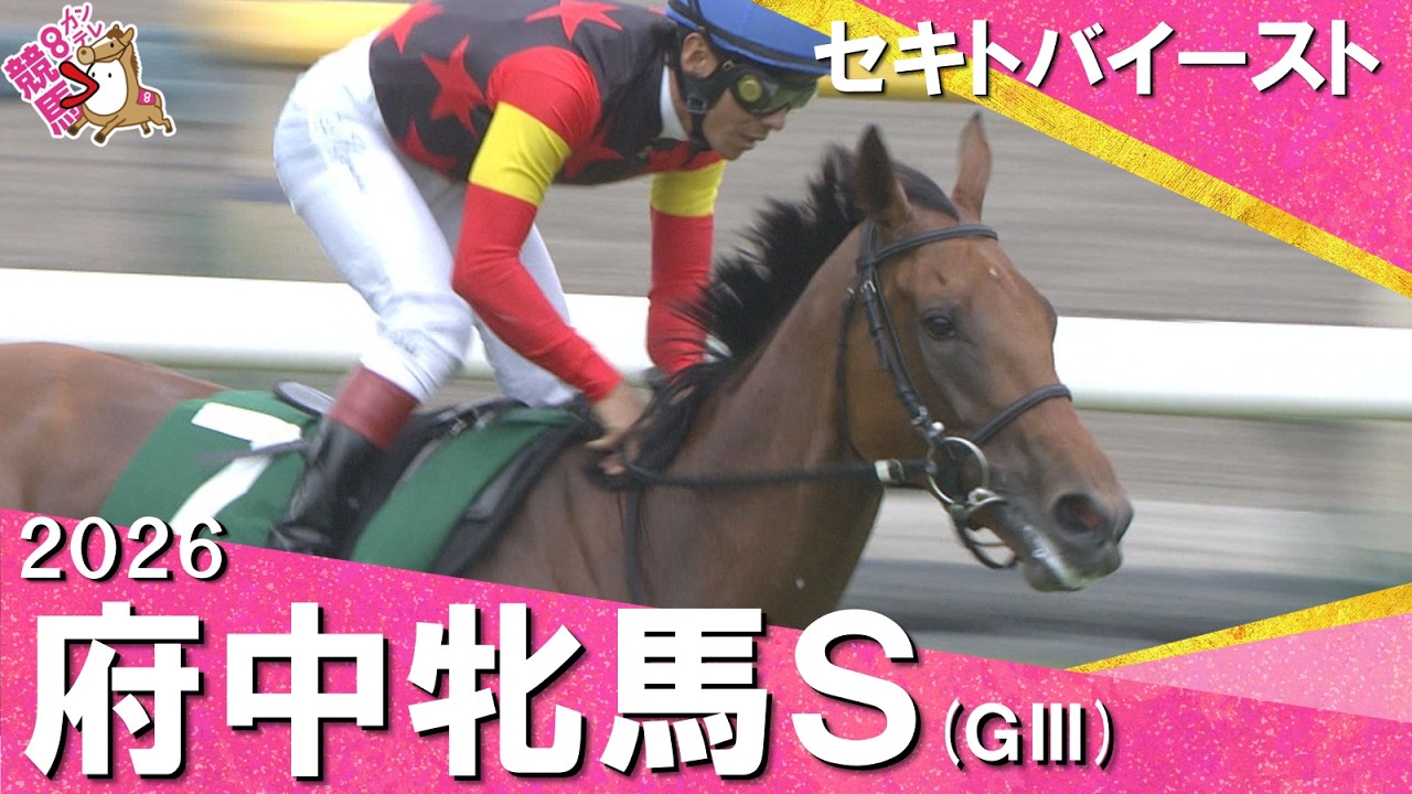 関連動画2