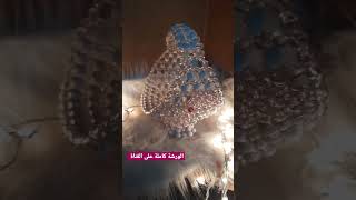 بونبونيرة على شكل سبت How to make Bonbonira of beads