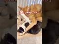 首の骨が折れ生還したネバー心の葛藤劇