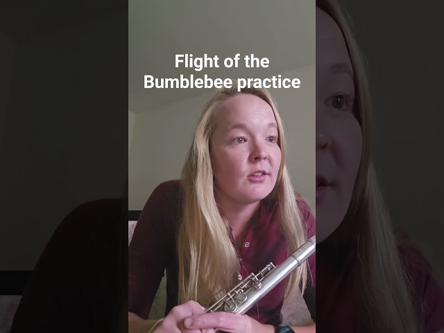 Flight of the Bumble Tonguing practice #flute #musicteacher #music #musician
