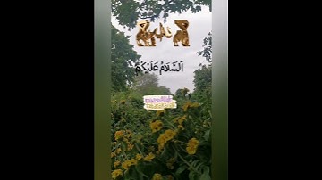 تلاوة حزينة تهز القلب للشيخ ماهر المعيقلي ماتيسر من سورة يوسف