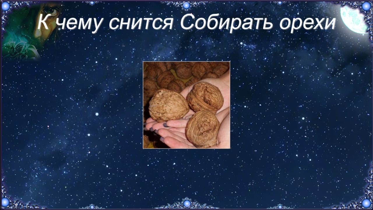 К чему снится Собирать орехи (Сонник)