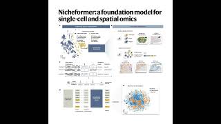 257-Nicheformer: for Single-Cell and Spatial Omics Profile