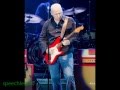 MARK KNOPFLER - YOUR PERFECT SONG -Privateering