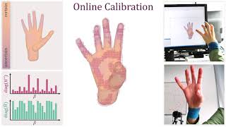 Celebrity Online Generative Model Personalization for Hand Tracking Net Worth