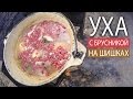 Уха с брусникой на шишках. Рыбалка. Рыбинское водохранилище.