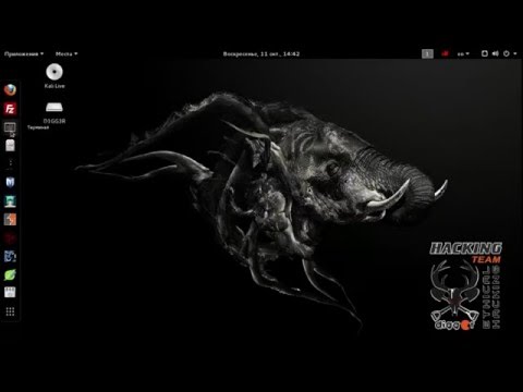 Kali Linux Tools -  Davoset & Torshammer Testing denial of service
