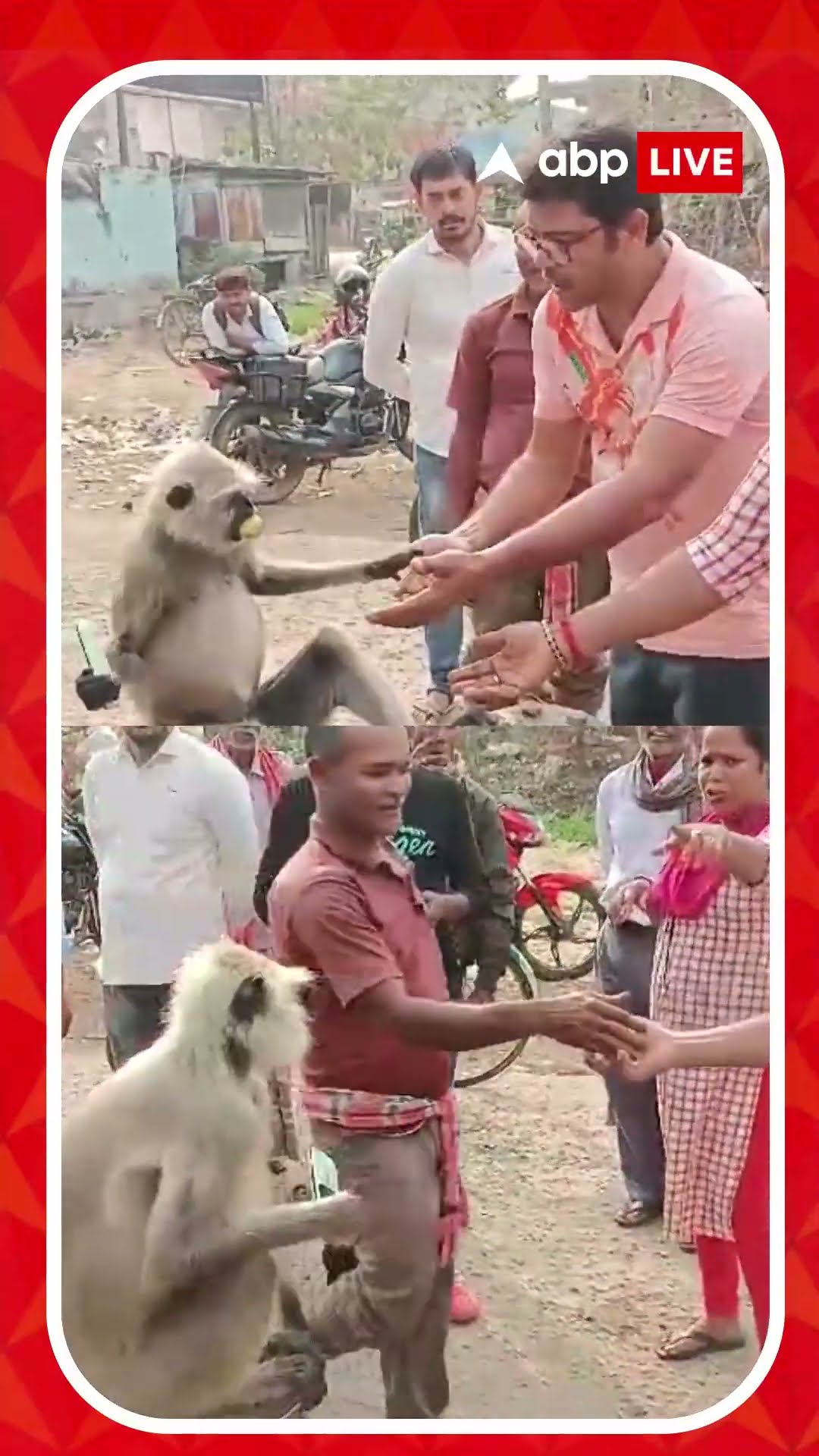 খাবার পেলেও ছাড়ল না মোবাইল! এ কেমন বাঁদরামি?