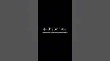 تلاوة من سورة الرحمن للقارئ ادريس ابكر شاشة سوداء#أبقوا_غزة_على_اتصال