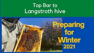 Converting from a Top Bar to a Langstroth hive - update Nov 7/21