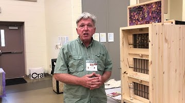 What’s new in the 2019 Drebbieville Hive?