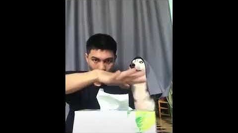 MEME COMPILATION VIDEOS RANDOM SHITPOST PART 9