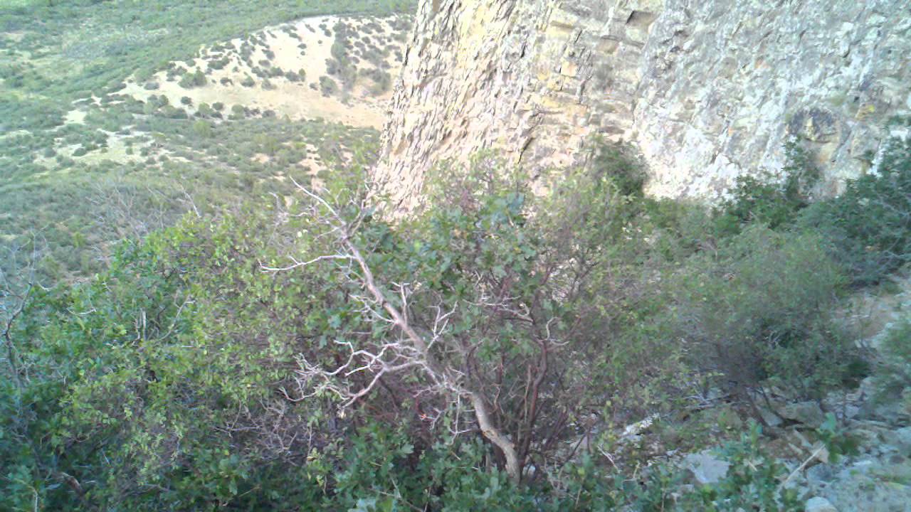 Climbing needle rock