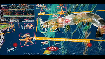 YANTO - yaw and not tip over, screen recording, 2022