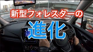 Levorg Fan Italia Vlip Lv Levorg Fan Italia Vlip Lv