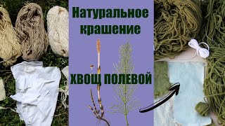 Крашение натуральными красителями. Полевой хвощ | Natural Dye Experiment. Field horsetail