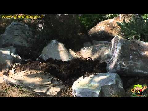Video: Come Costruire Un Giardino Roccioso In Giardino, Piantare Piante In Zone Speciali, Ginepri - 2