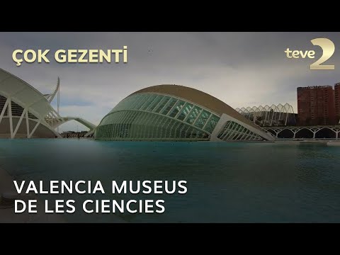 Video: Valencia Güzel Sanatlar Müzesi Tarihi