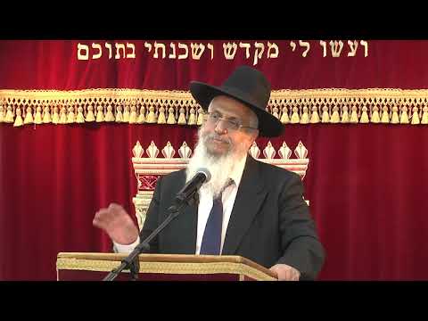 הלכות בניה בבנין מגורים | חושן משפט | הרב יורם סרי