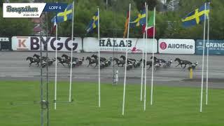 Vidéo de la course PMU LILIUM FASTIGHETER - STL KLASS II (FORSOK 4 I MEETING 6 - FINAL SOLVALLA 10/10)