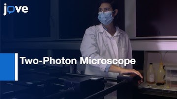 Two-Photon Microscope for in Gastrula for Controlled Volume Ablations | Protocol Preview