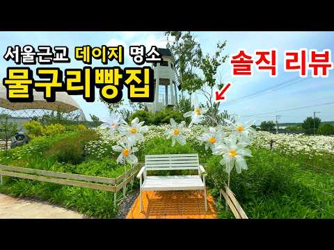 데이지명소 고양 물구리빵집 솔직후기 미리보기