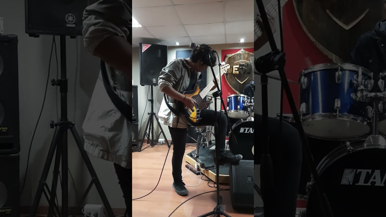 Not Coming In - Dayshell (cover)