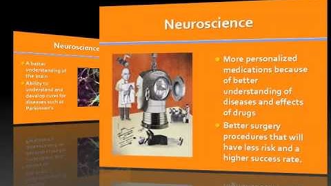 Reverse Engineering the Brain