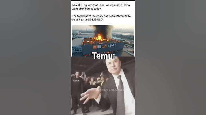 Temu's lore // #fyp #meme #memes #funny #memecompilation #memesong #elonmusk #temu