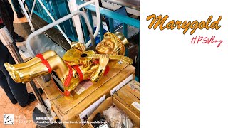 [Rare Footage] #PSVlog Nov 2023: Marygold Musical Clock at PLAZA SENAYAN - Maintenance Test Run